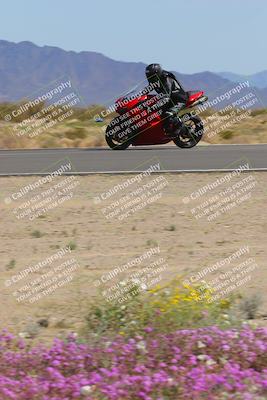 media/Mar-12-2023-SoCal Trackdays (Sun) [[d4c8249724]]/Turn 15 Inside Bloom (130pm)/